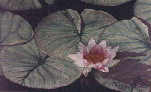 water color