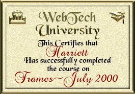 Web Tech University