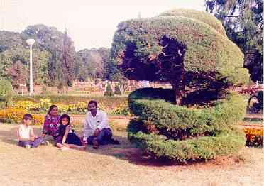 Shaped garden
